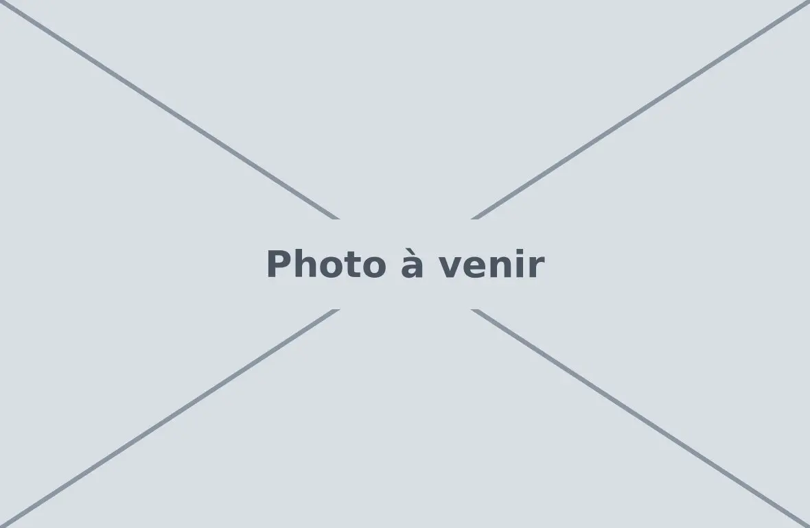 Atterrissage de Vercorin